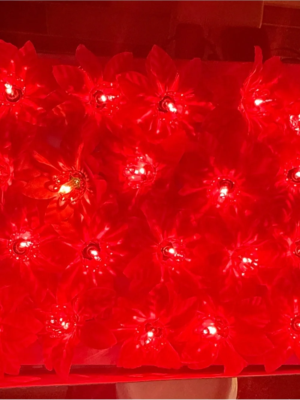Vintage Christmas Poinsettia string lights